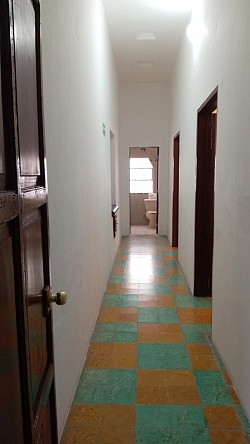HABITACION 101